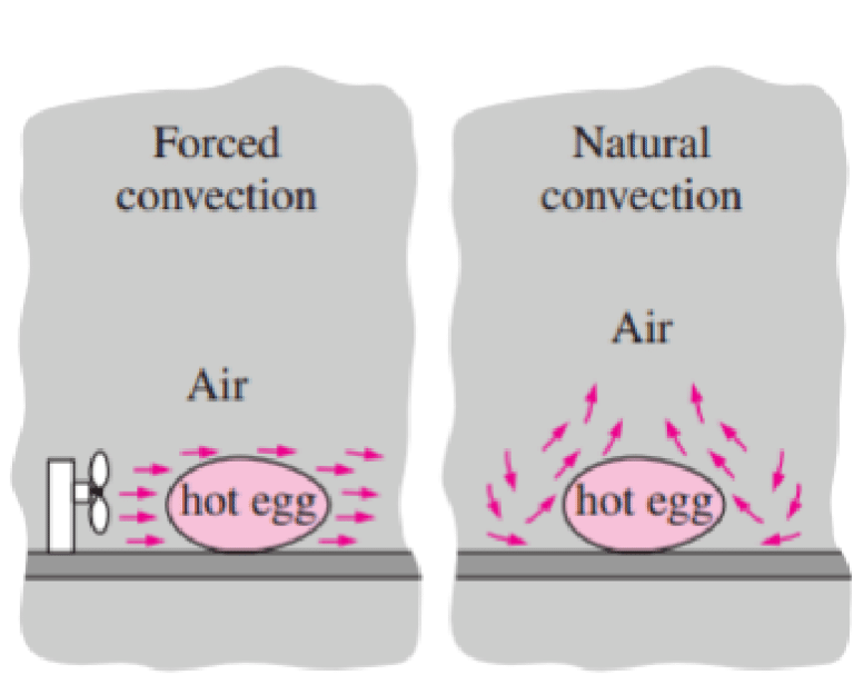 Convection Heat Transfer